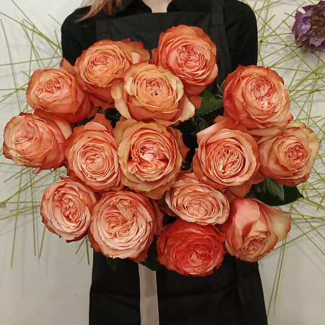 Роза пионовидная Кахала №162 - Фото 1