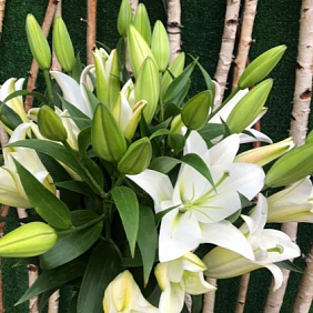 Букет из 5 лилий №160