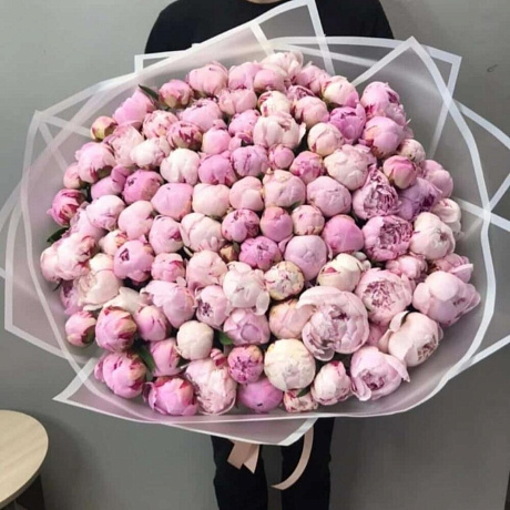 Пион Сара Бернар №167 - Фото 1