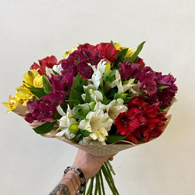 Буря эмоций