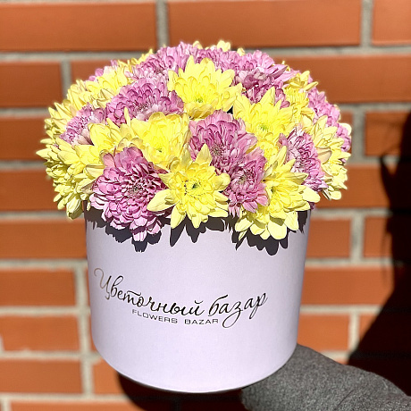 7 Желтых хризантем в розовой шляпной коробке №77 - Фото 1
