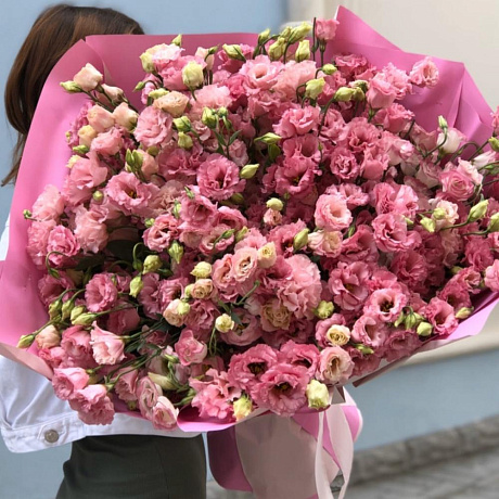 Эустома XL - Фото 1