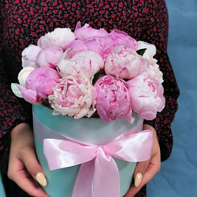 Пионы в шляпной коробке №164