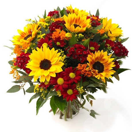 Луговой букет цветов Простоквашино - Фото 1