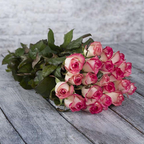 Роза джамила 19 №160 - Фото 1