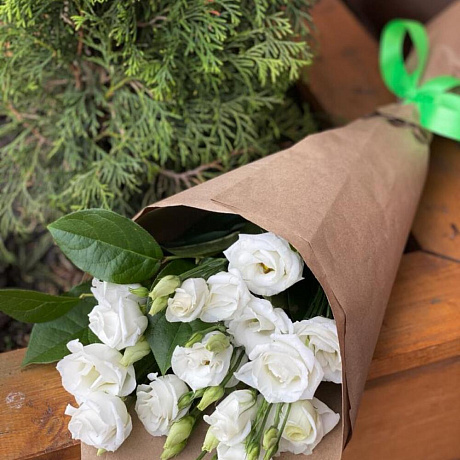 Эустома №166 - Фото 1