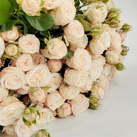 11 розовых пионовидных роз Бомбастик в белой шляпной коробке №807 - Фото 1