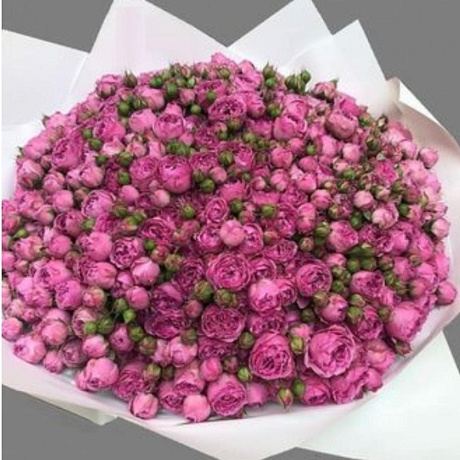 Букет из кустовых пионовидных роз №162 - Фото 1