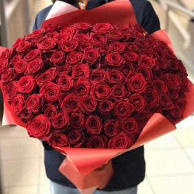 Букет 101 Красная роза 50 см в Цветной Упаковке