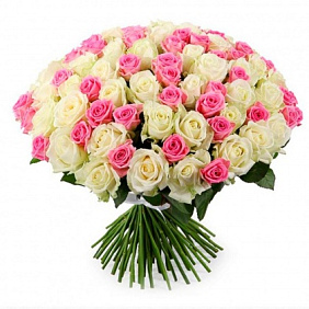 101 бело-розовая роза (50 см)