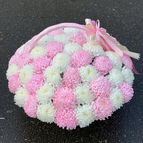 Хризантема крымская в Корзина