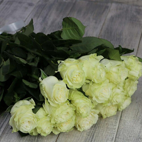 Роза Эквадор Мондиаль 15 штук - Фото 1