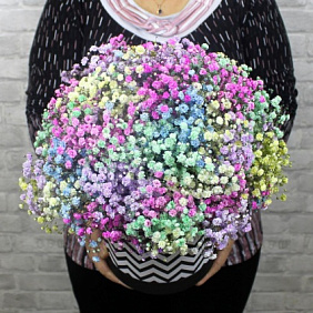 Радужная гипсофила Rainbow