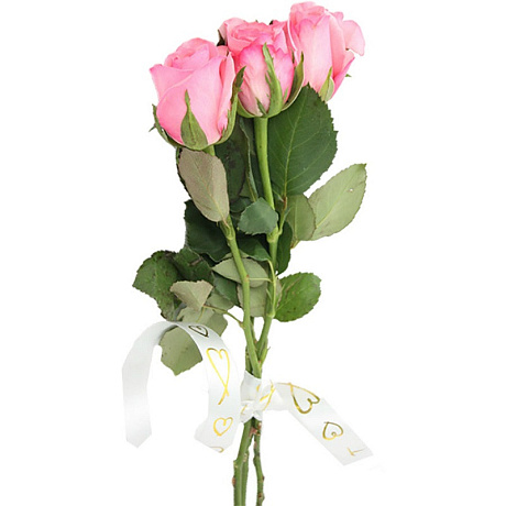 Букет из 3 розовых роз-9 - Фото 1