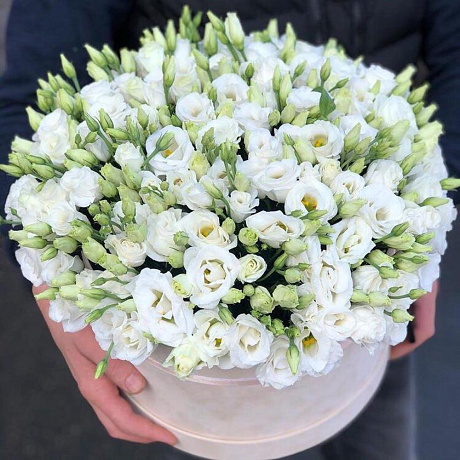 Эустома в коробке №160 - Фото 1