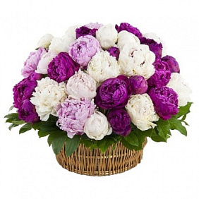 Пионы в корзине "Нежное лето"