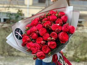 11 красных пионовидных роз Премиум