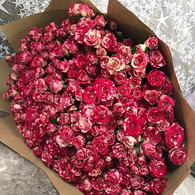 51 кустовая роза (Голландия)