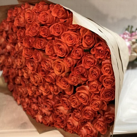 101 Коралловая роза