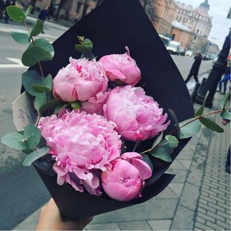 Пиончики 5 шт - Фото 1