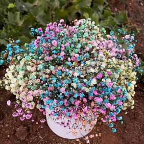 Букет цветов "Радужная коробка"