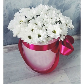 7 Белых Ромашковых хризантем в розовой шляпной коробке №152