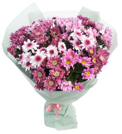 Букет из 15 розовых кустовых хризантем - Фото 1