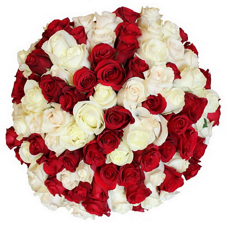 Букет из 151 красно-белой розы в корзине - Фото 1