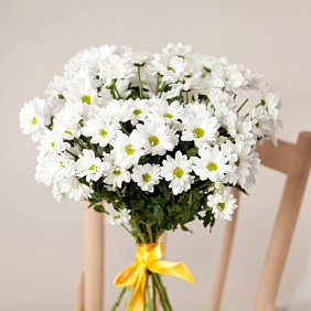 Букет хризантемы  «Бакарди 7»