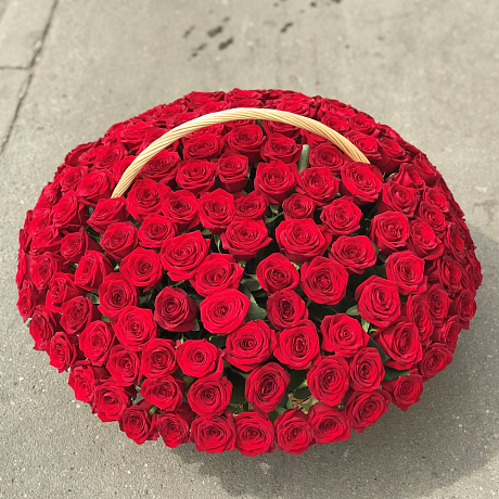 Корзины с цветами.  Красные Розы. 151 роза. N158 - Фото 1