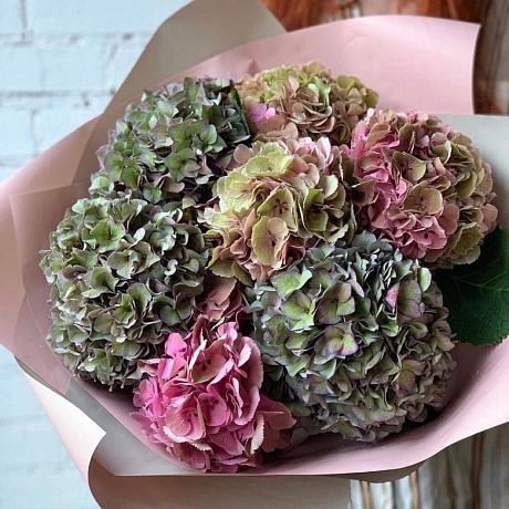 Большой букет из гортензий «Лунная соната» - Фото 1