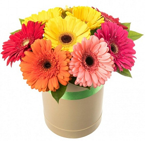 9 гербер с рускусом в средней шляпной коробке