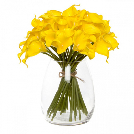 Букет из цветов 29 желтых калл - Фото 1