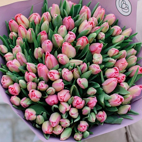 Букет 101 розовый тюльпан