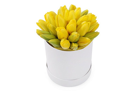 25 желтых тюльпанов в белой маленькой шляпной коробке №534 - Фото 1