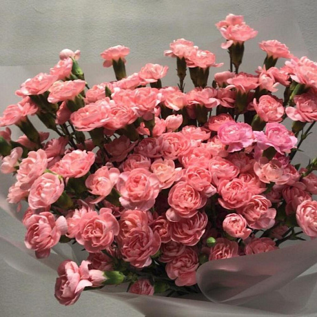 Букет Гвоздика персик - Фото 1