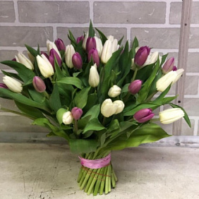 Тюльпаны микс №161