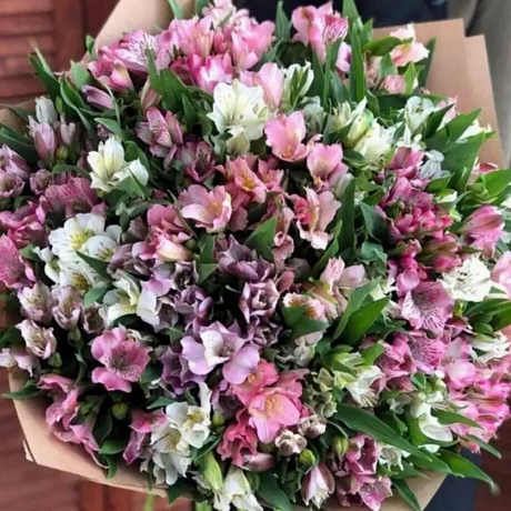 Букет из 29 альстромерий микс №168 - Фото 1