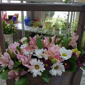 Ящик с цветами "Дыхание утра"