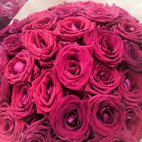 Букет из 51 розы ред наоми - Фото 1