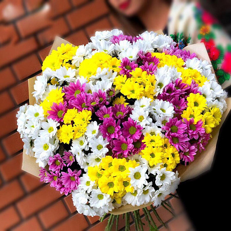 Букет из хризантем Солло - Фото 1