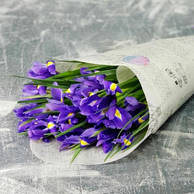 букет из 15 ирисов в стильной упаковке