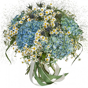 Букет из 5 гортензий и ромашек