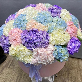 Цветы гортензий в коробке