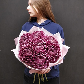 Хризантемы Бигуди