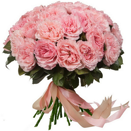 Букет из 35 пионовидной розы Мария Тереза - Фото 1