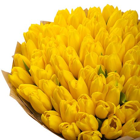 59 желтых тюльпанов в большой розовой шляпной коробке №517 - Фото 1