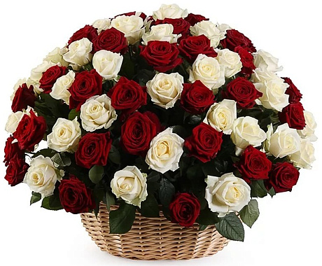 101 белая и красная роза в корзине - Фото 1