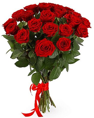 Букет из 21 красной розы под ленту - Фото 1