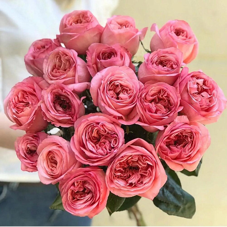 Пионовидные розы №166 - Фото 1